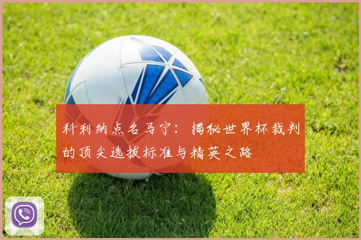 科利纳点名马宁：揭秘世界杯裁判的顶尖选拔标准与精英之路