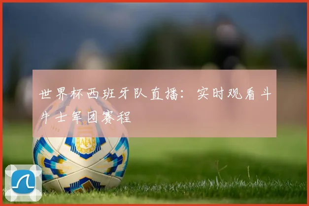 世界杯西班牙队直播:实时观看斗牛士军团赛程