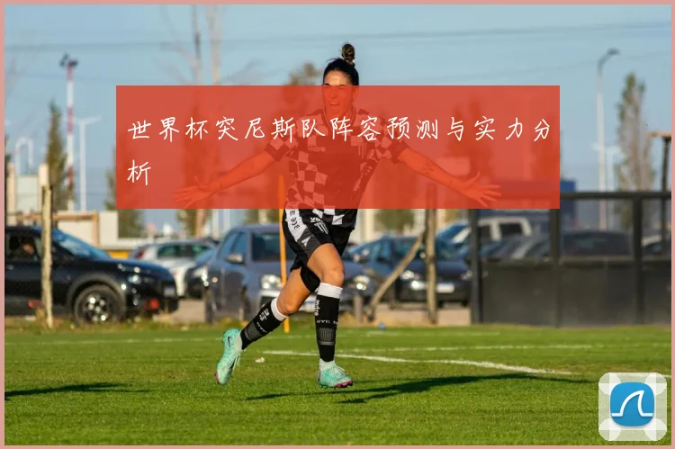 世界杯突尼斯队阵容预测与实力分析